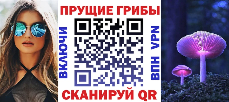 mega зеркало  Шлиссельбург  Псилоцибиновые грибы GOLDEN TEACHER 